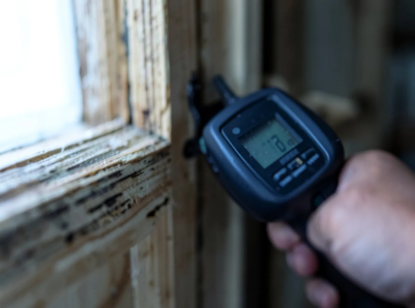 Commercial Water Damage Restoration in Tacna, AZ